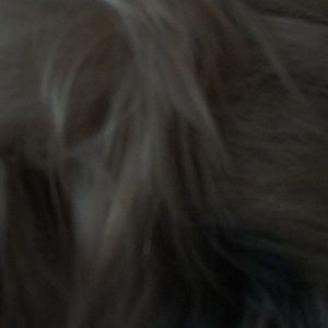 Meet your Posher, Timothy